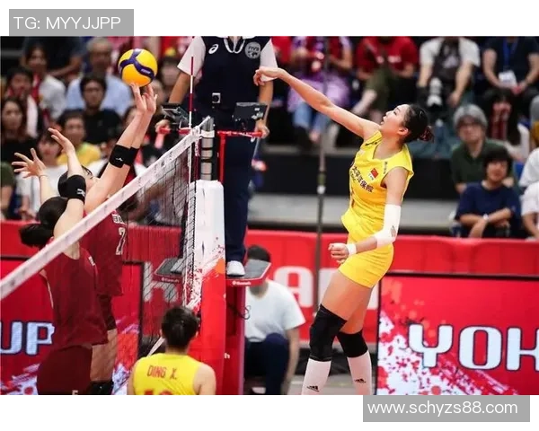 成都排球队节奏之争引发热议球迷与专家观点交锋